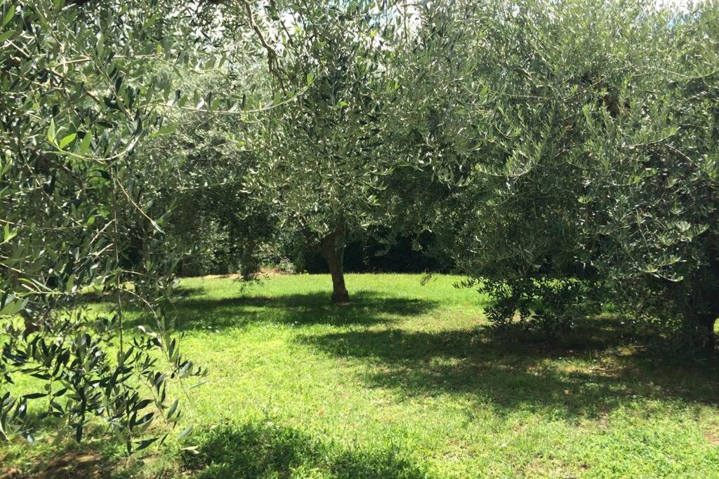 Apartamento Campagna Toscana Presso Terme Lari Exterior foto