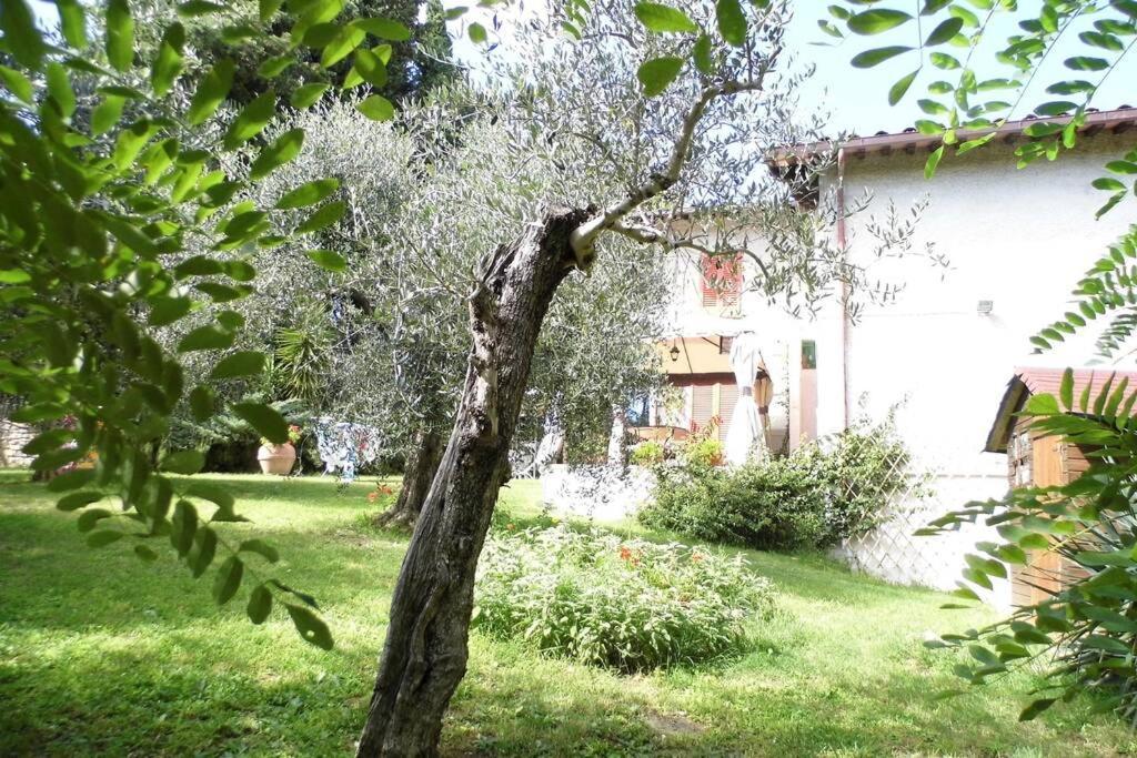 Apartamento Campagna Toscana Presso Terme Lari Exterior foto